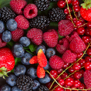 Dry extract of red fruits