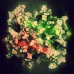 Inositol Vegetal