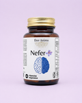 Nefer
