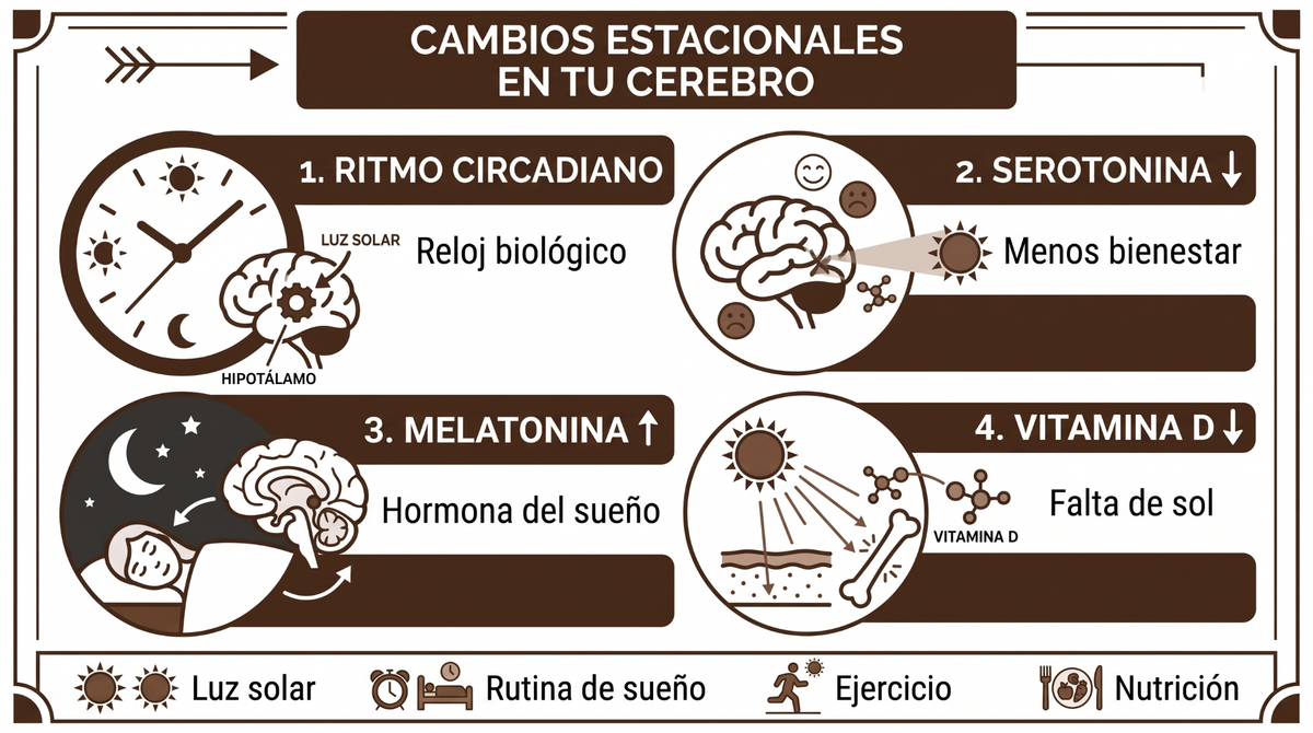 ¿Por qué el cambio de estación altera tu humor?