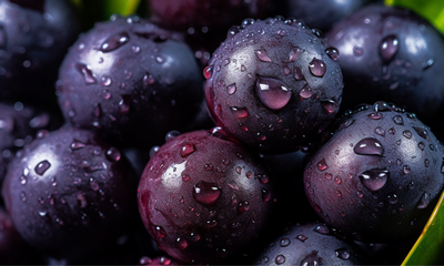 Extracto de Açaí