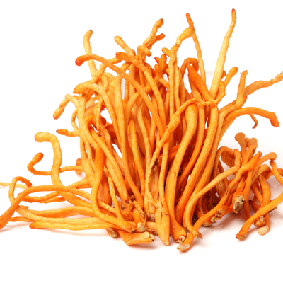 Cordyceps Sinensis