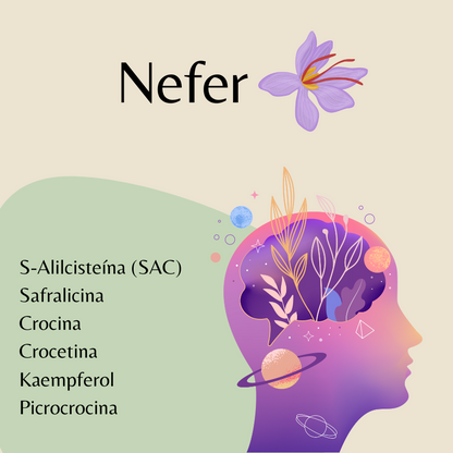 Nefer