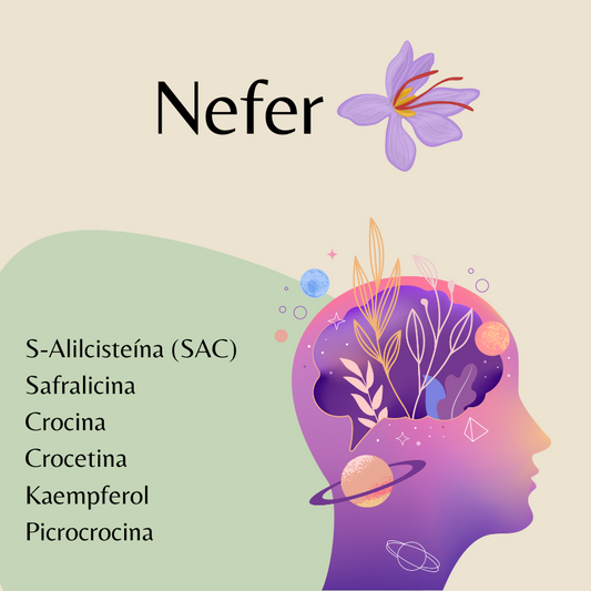 Nefer