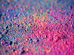 Resveratrol 98% Puro